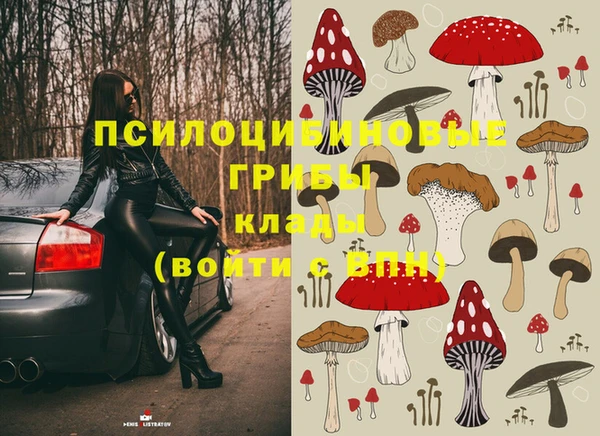 бошки Алзамай