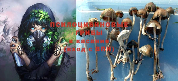 бошки Алзамай